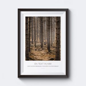 Djupt inne i skogen